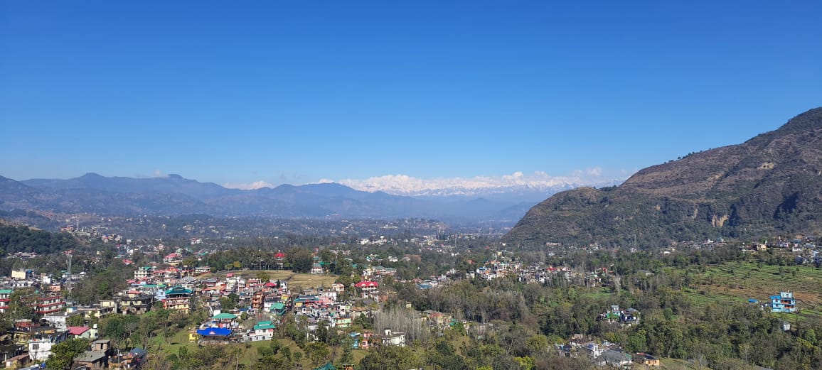 Site View